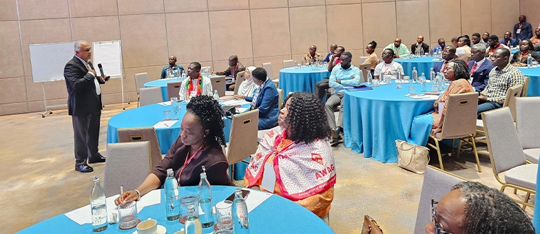 Connecting Africa to the World Through Global Capacity Consulting